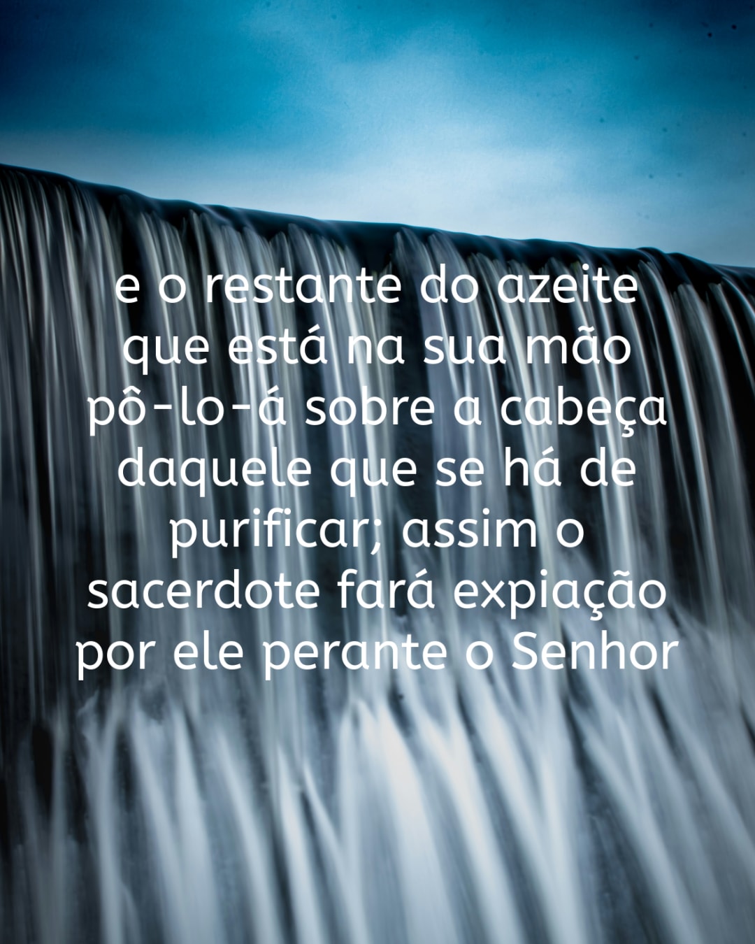 versiculo-lev-tico-14-18